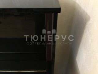Пианино Yamaha JX113T PE Silent 113 #4