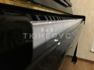 Пианино Yamaha JX113T PE Silent 113 #7