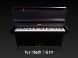 Пианино Weinbach Black Matt 116 #1