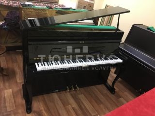 Пианино Weinbach Antique Black Glossy 105 #4