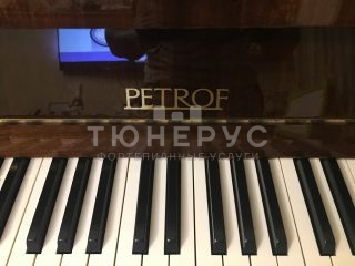 Пианино Petrof P116 116 #3