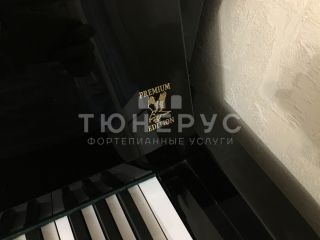 Пианино Weber W114 114 #5