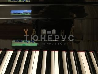 Пианино Yamaha JX113T PE Silent 113 #6
