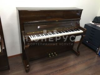 Пианино Petrof Poloschip 116 116 #3
