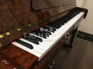 Пианино Seiler Mondial 116 #3