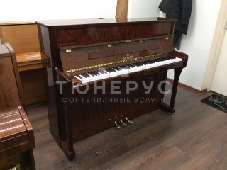 Пианино Seiler Mondial 116 #2