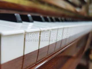 Пианино Fuchs & Mohr  110 #4