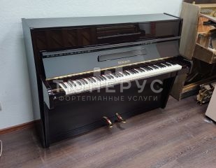 Пианино Ronisch  110 #2