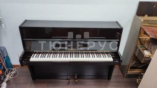 Пианино Ronisch  110 #7