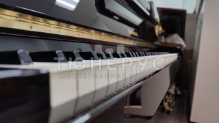 Пианино Ronisch  110 #10