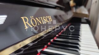 Пианино Ronisch  110 #11