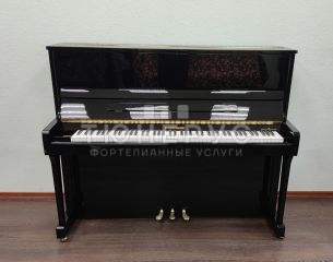 Пианино W. Hoffmann Vision 120 120 #9