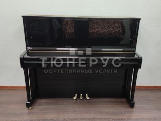 Пианино W. Hoffmann Vision 120 120 #10