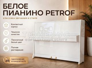 Пианино Petrof Classic 113 #1