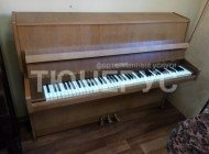 Пианино Petrof Sonatina 105 #3