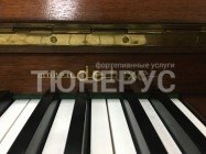 Пианино Ronisch De Luxe 110 #4