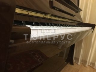 Пианино Petrof Classic 110 #4