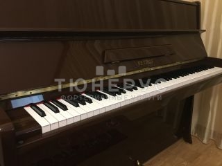 Пианино Petrof Classic 110 #5