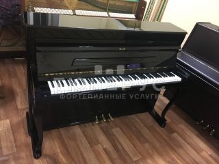 Пианино Weinbach Antique Black Glossy 105 #3